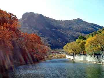 管家婆黑白马报图库，碳酸钾